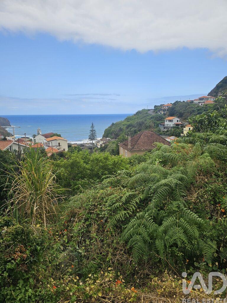 House in Porto da Cruz - Image 2
