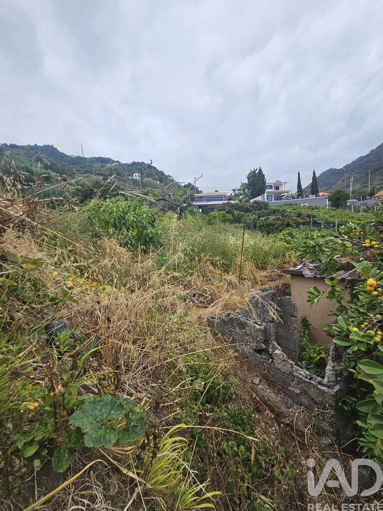 House in Porto da Cruz - Image 4