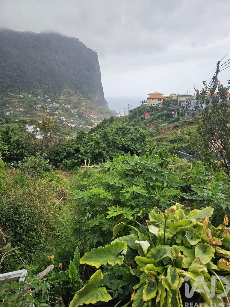 Land in Porto da Cruz - view 1