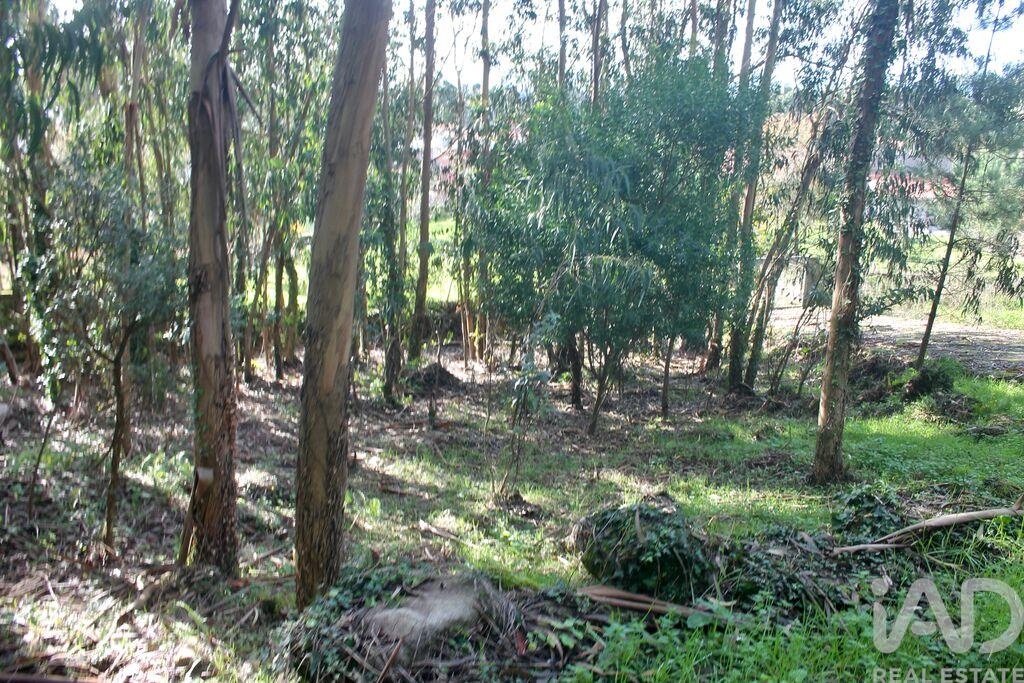 Land in Esposende - Image 5