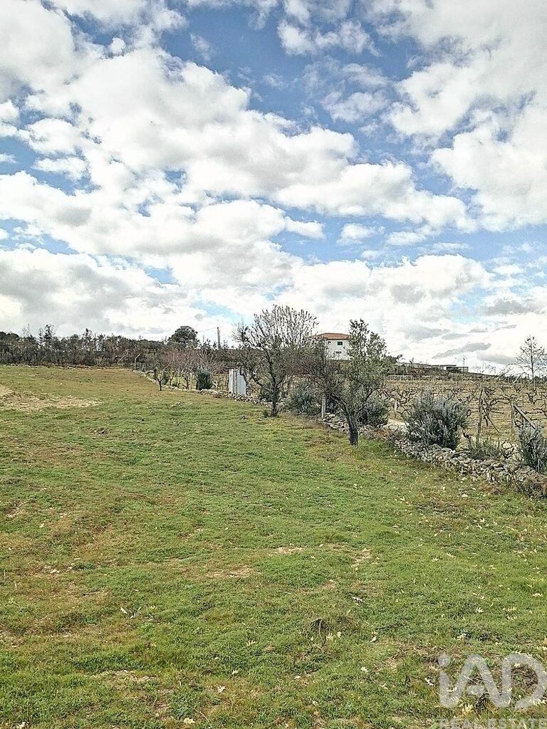 Land in Ervededo - view 1