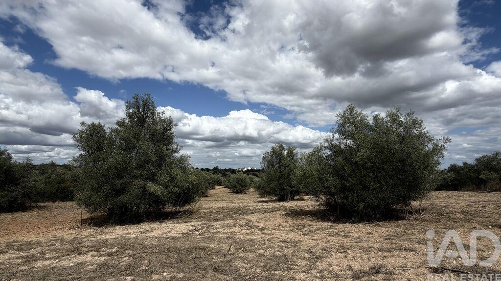 Land in Outeiro da Varzea - Image 5