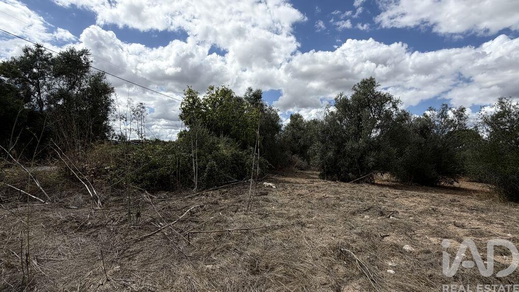 Land in Outeiro da Varzea - Image 3