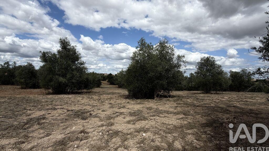 Land in Outeiro da Varzea - Image 2