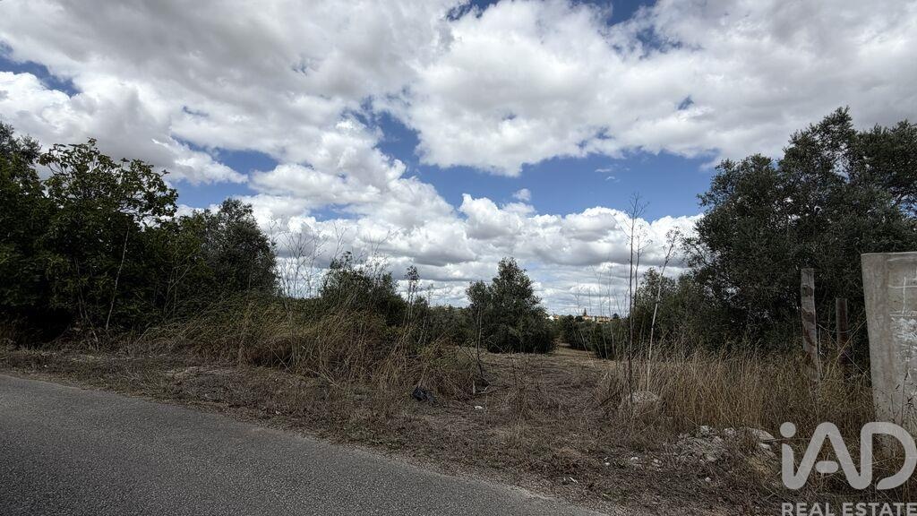 Land in Outeiro da Varzea - Image 4