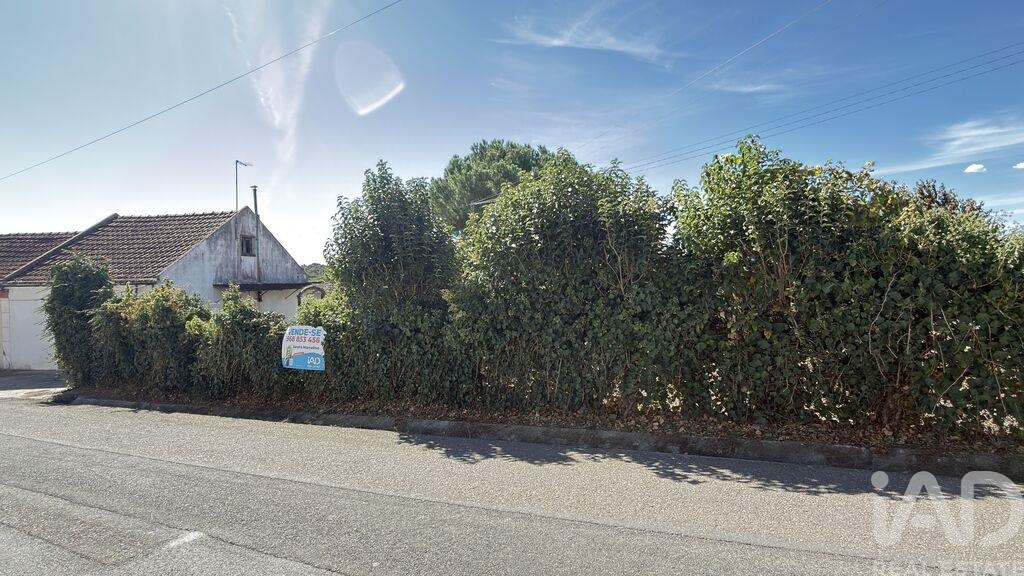 House in Almoster - Image 3