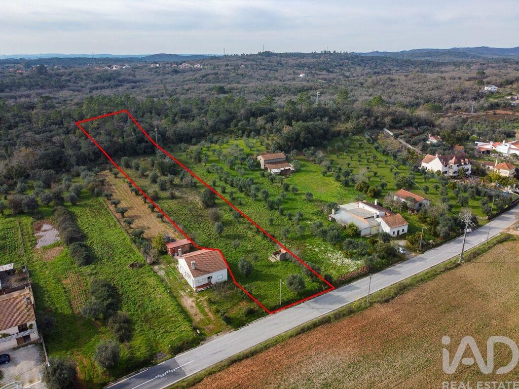 Land in Areias - Image 3