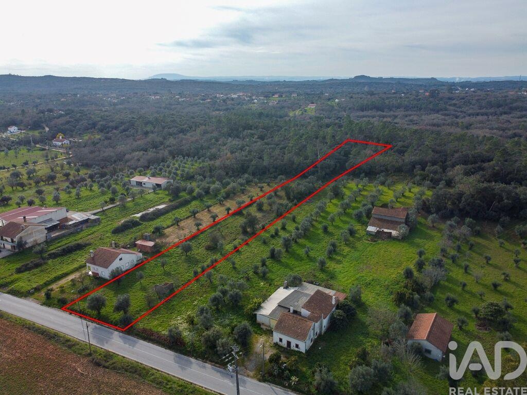 Land in Areias - Image 5