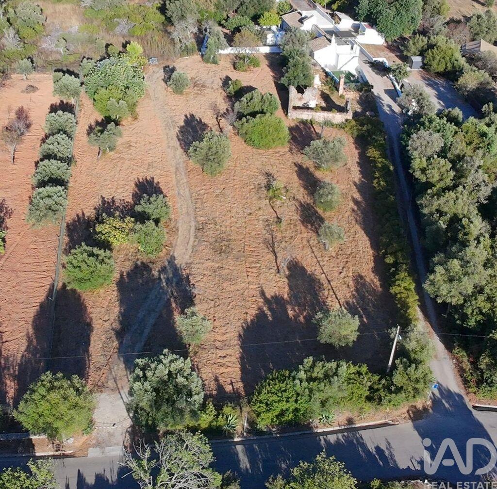 Land in Loule (Sao Clemente) - view 1