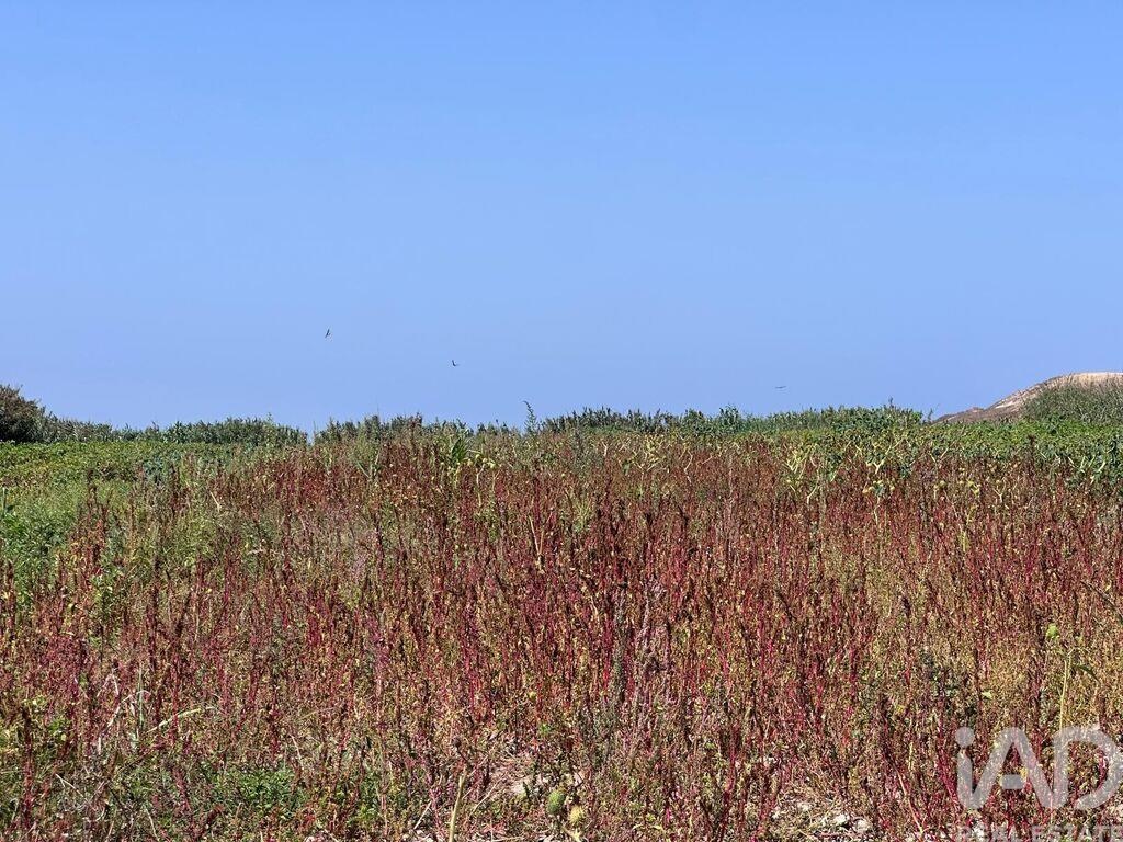 Land in Ferrel - view 1