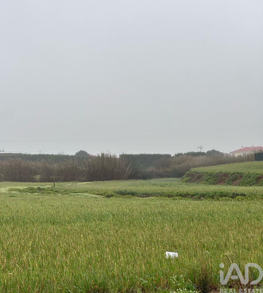 Land in Atouguia da Baleia - view 1