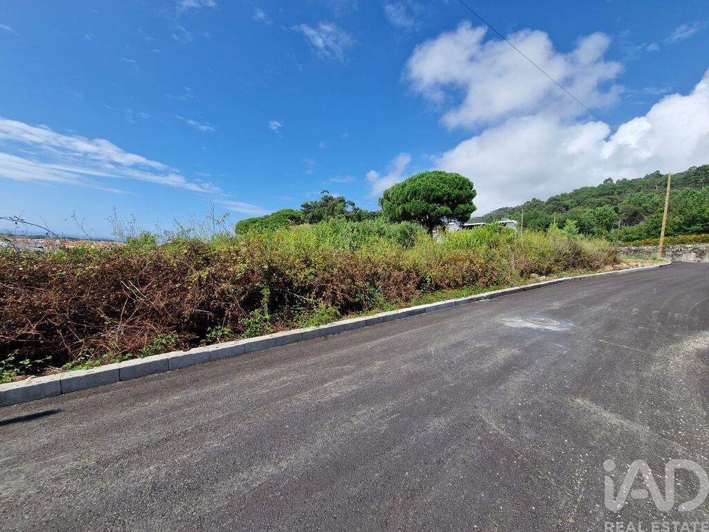 Land in Areosa - Image 4