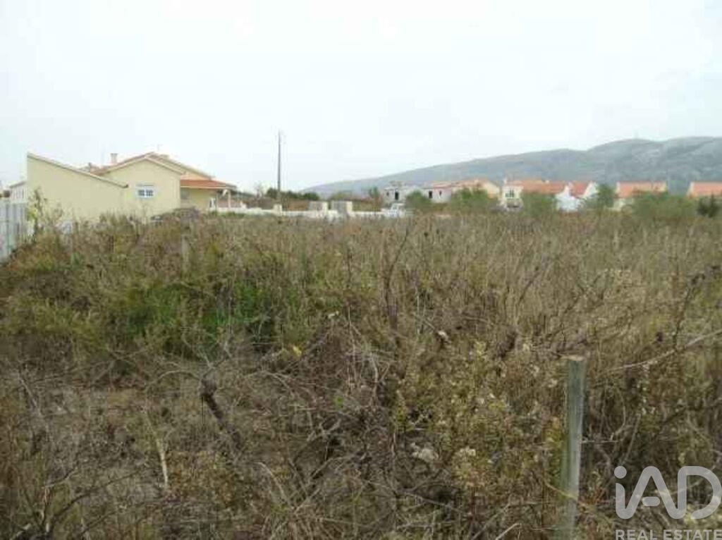 Land in Aljubarrota - Image 3