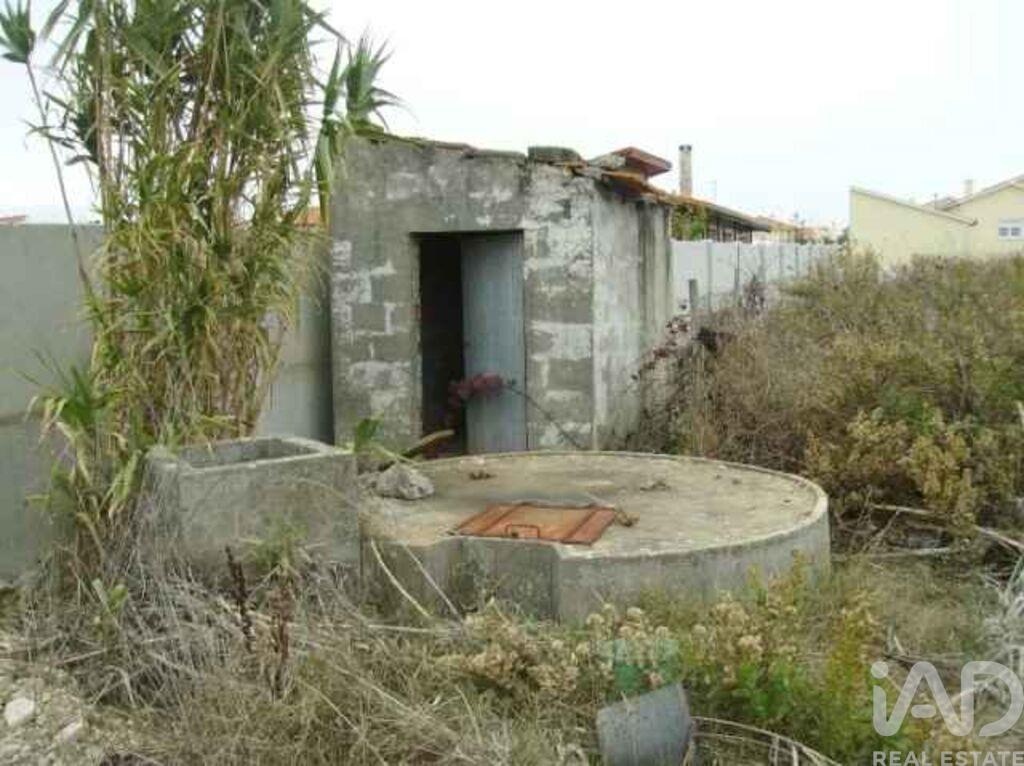 Land in Aljubarrota - view 1