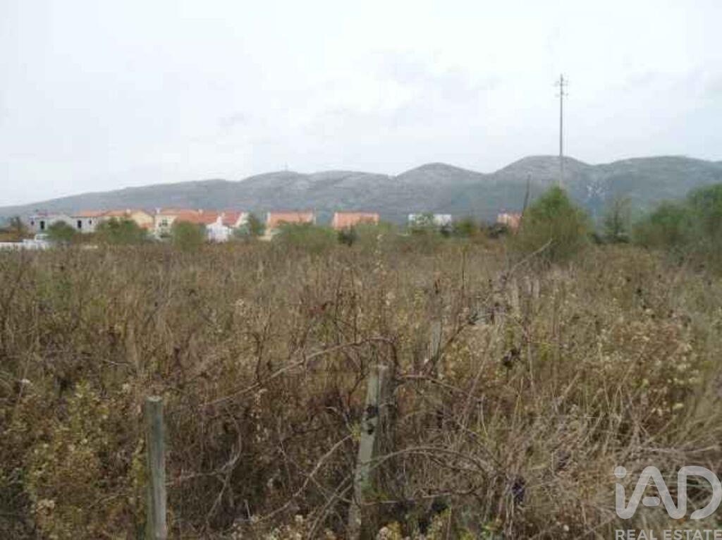 Land in Aljubarrota - Image 2