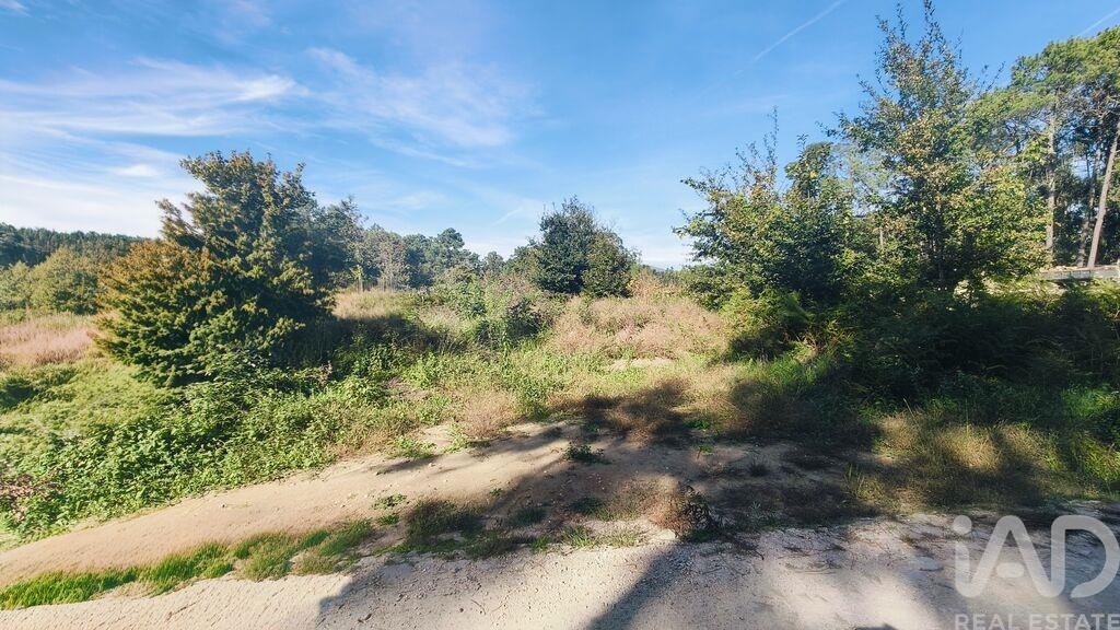 Land in Reboreda - view 1