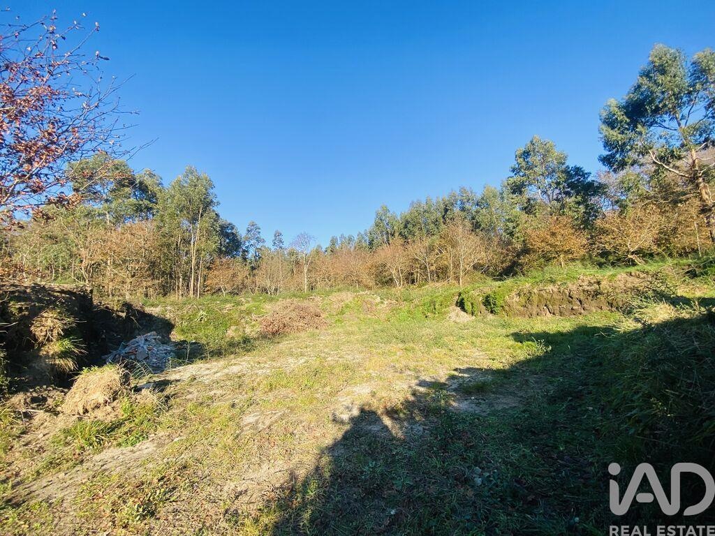 Land in Sopo - view 1