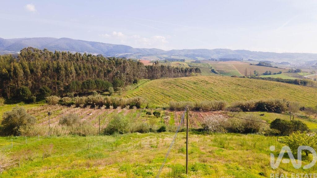 Land in Pero Moniz - Image 2