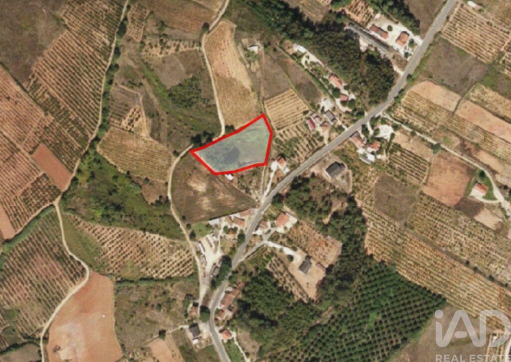 Land in Pero Moniz - Image 4