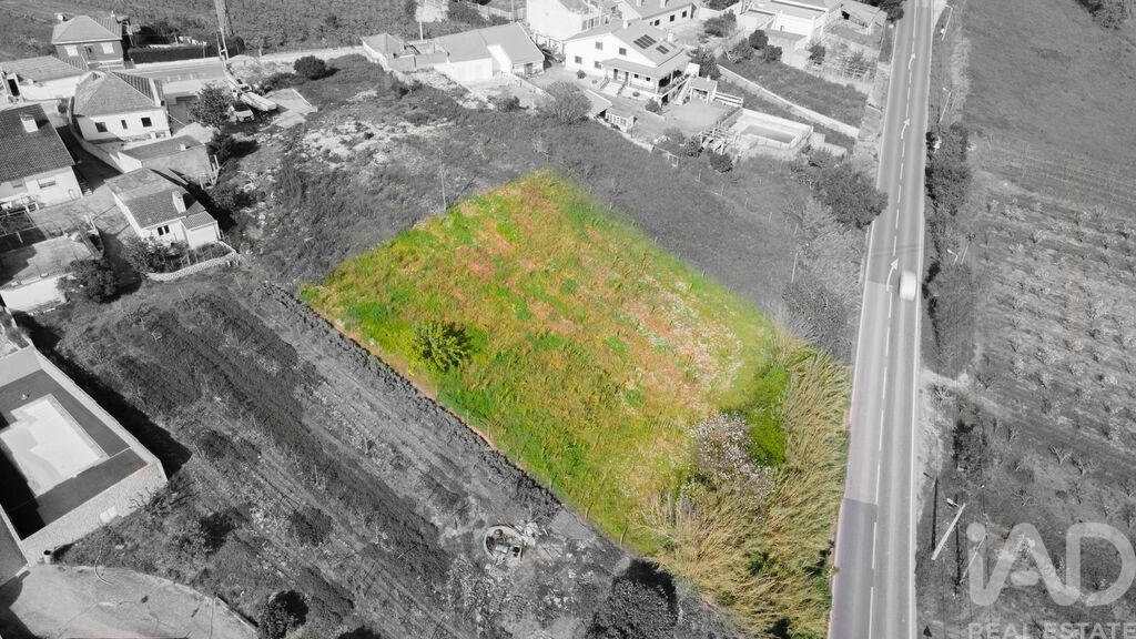 Land in Pero Moniz - Image 3