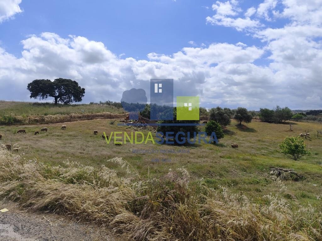 Terreno