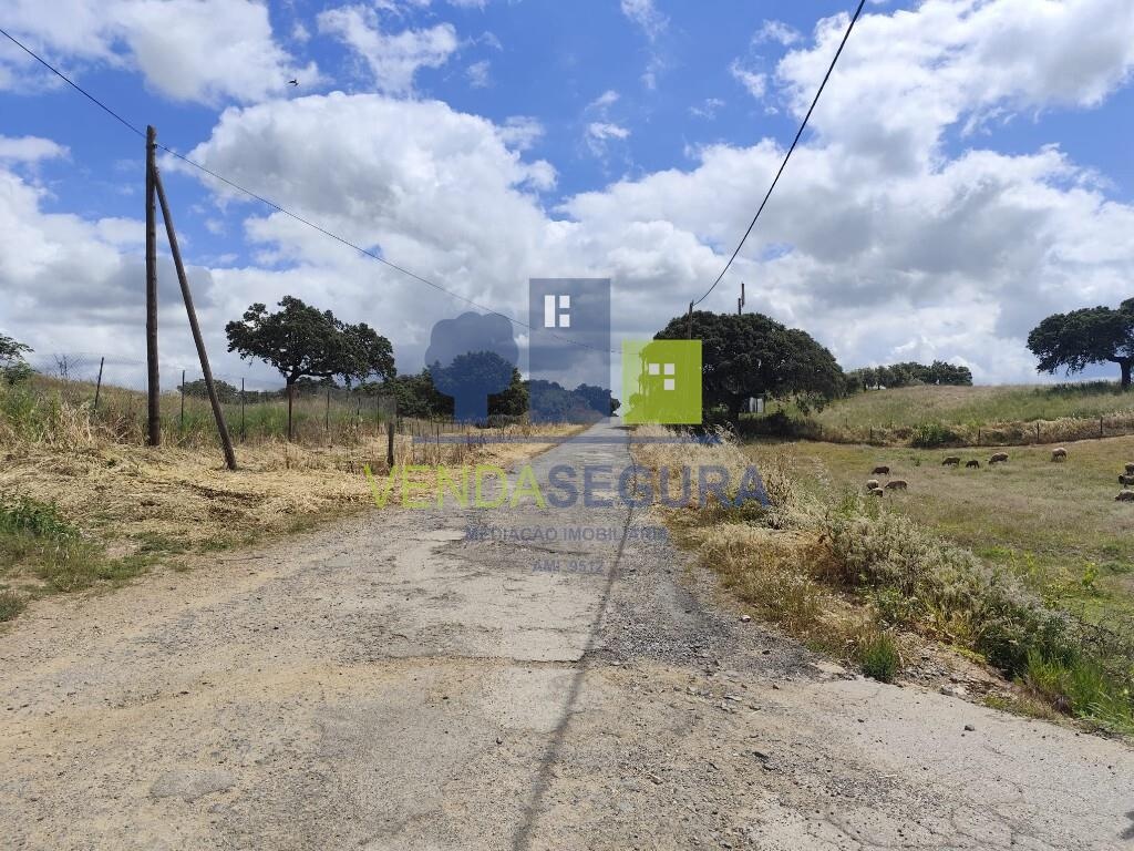 Terreno