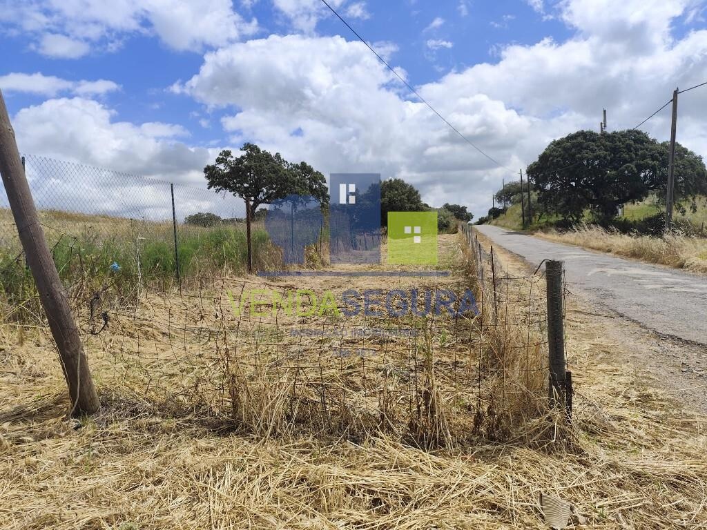 Terreno