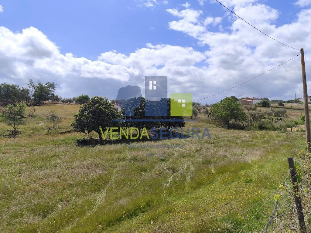 Terreno