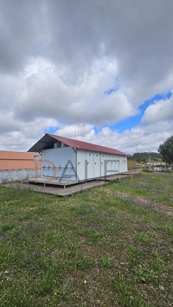 11 balneários