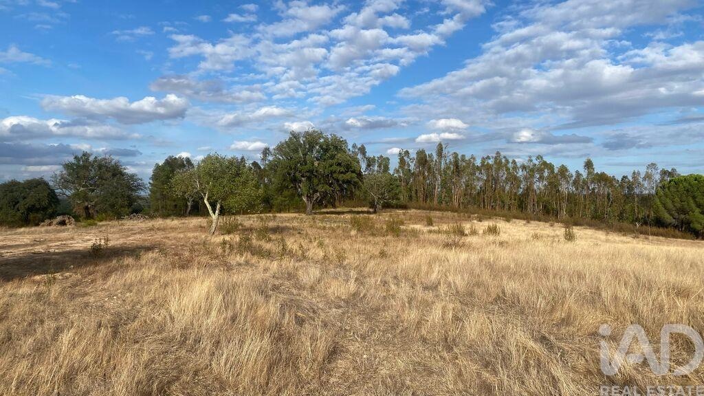 Land in Galveias - view 1