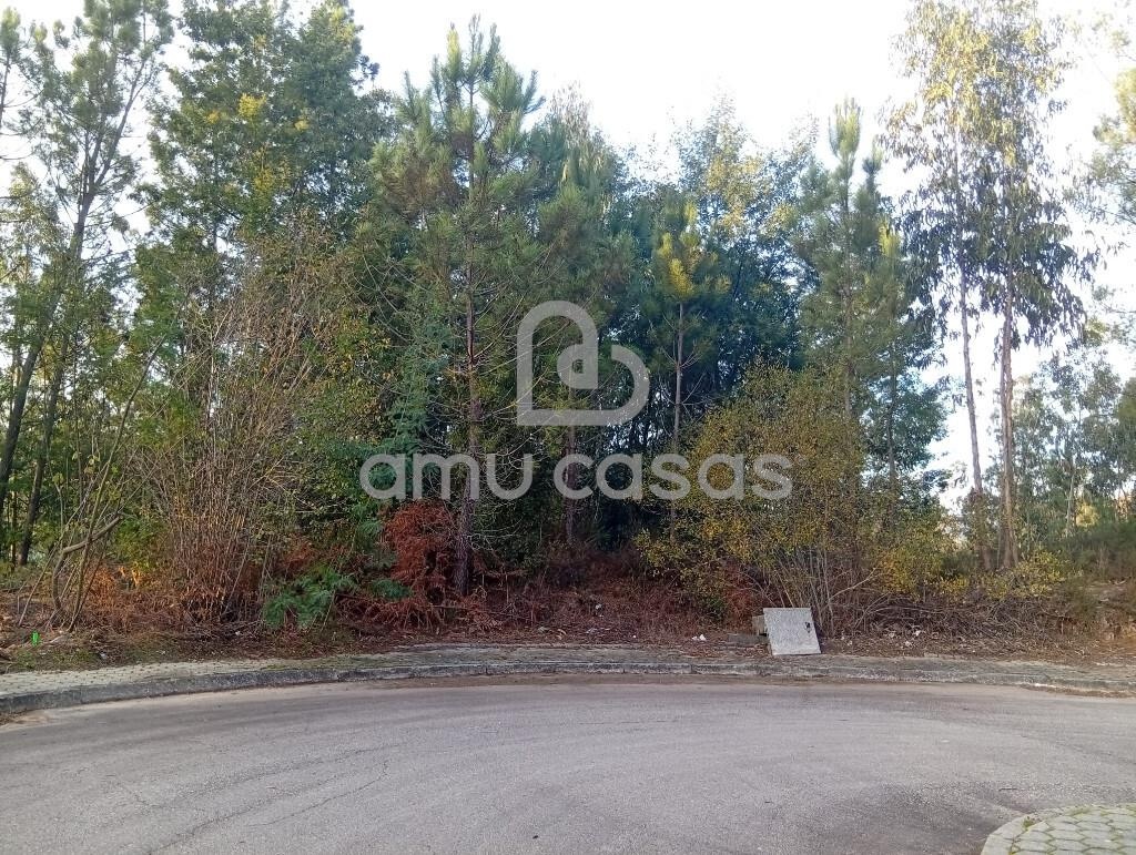 Lote Urbano | Minas Pintor Nogueira Cravo