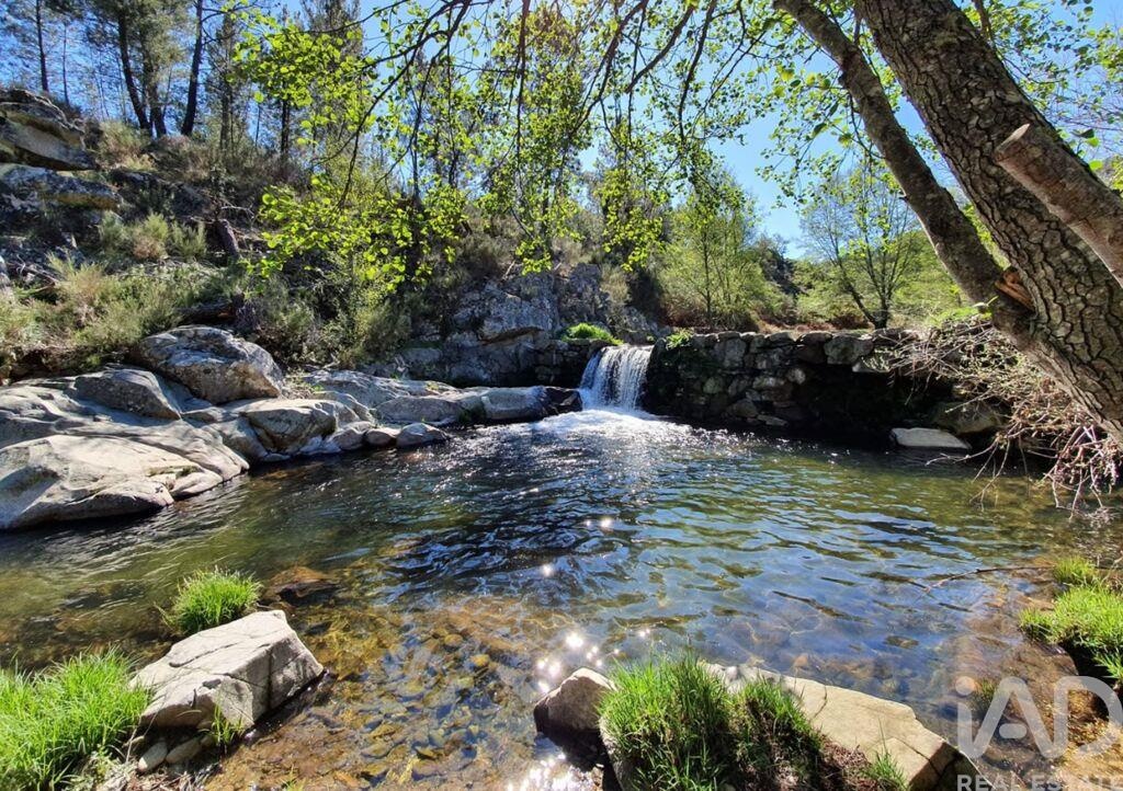 Farm, Ranch or Equestrian in Lavacolhos - view 1