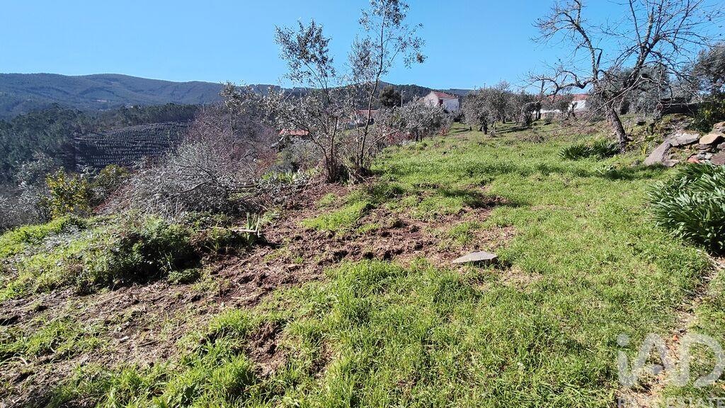 House in Alvares - Image 3