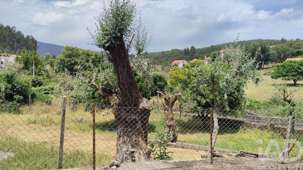 House in Alvares - Image 2