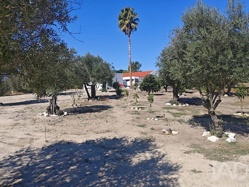 House in Coruche - view 1