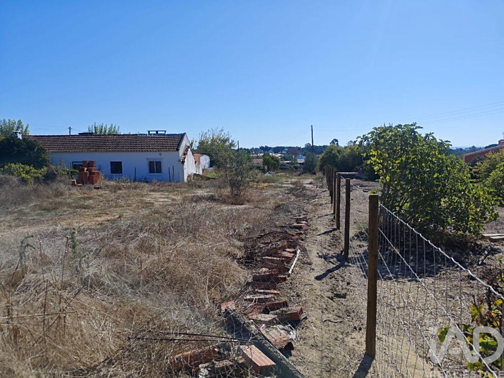 Land in Coruche - Image 5