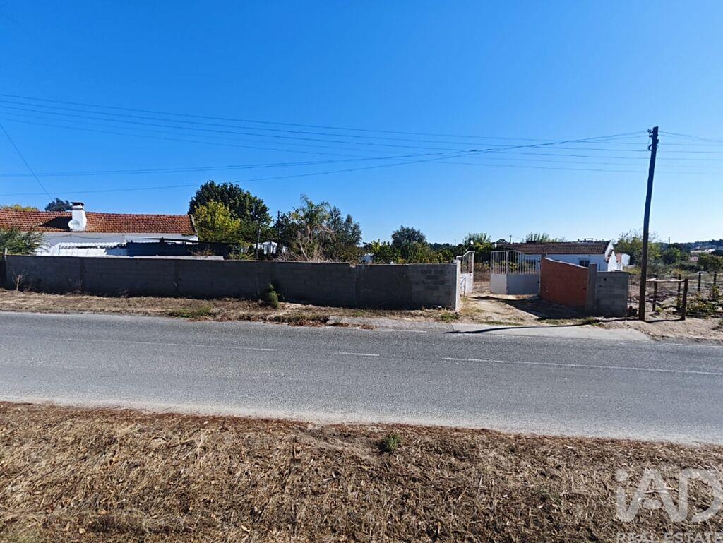 Land in Coruche - view 1