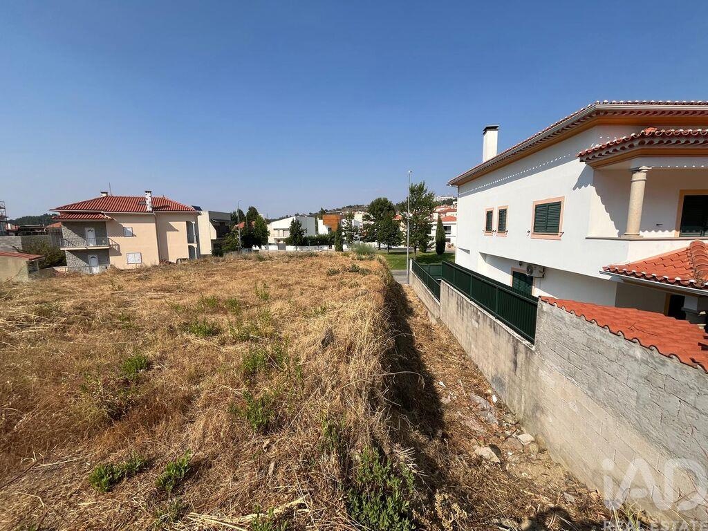 Land in Castelo Branco - Image 5