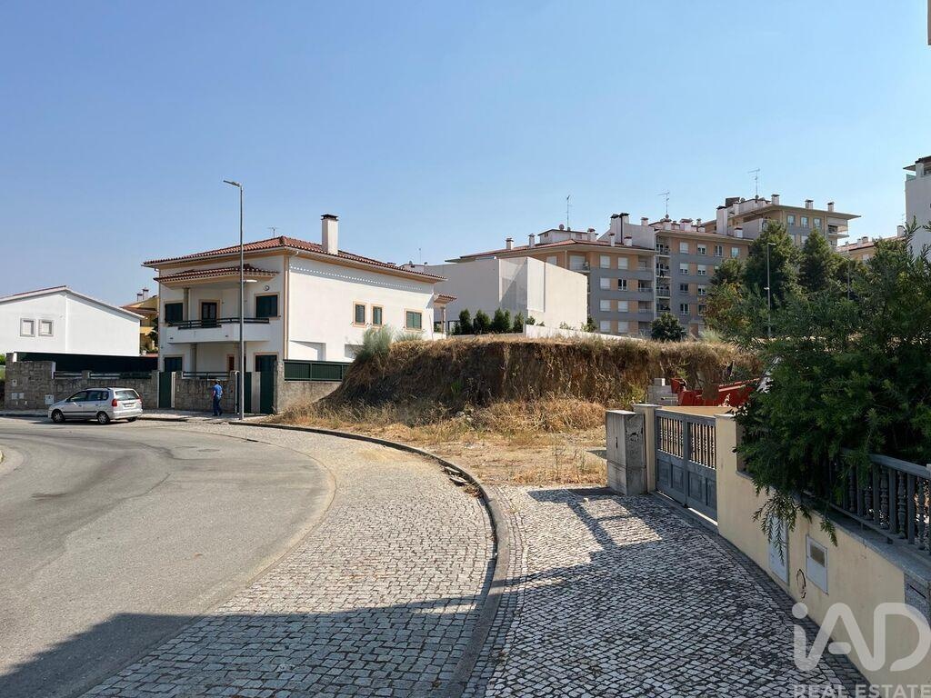 Land in Castelo Branco - view 1