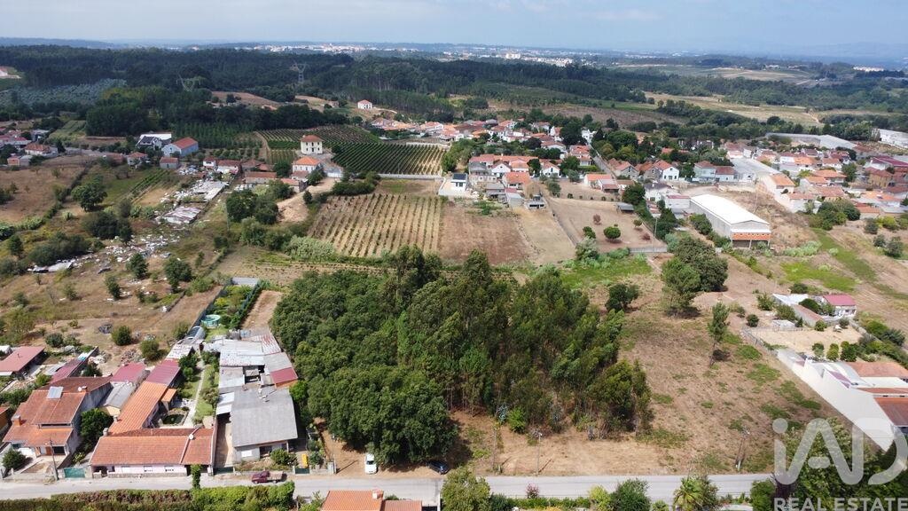 Land in Sangalhos - Image 4