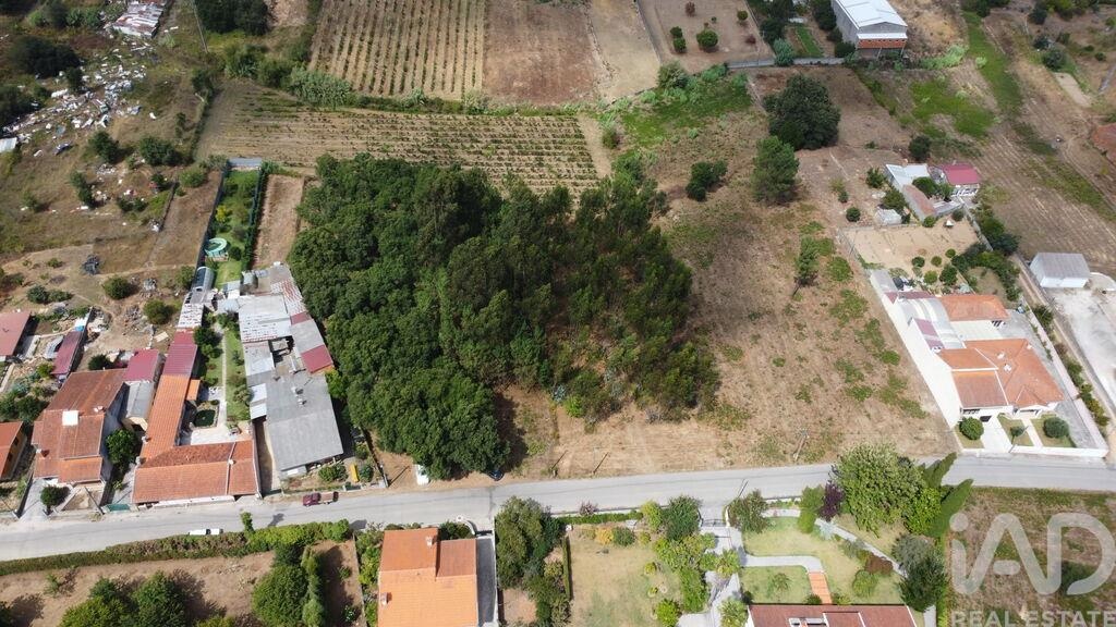 Land in Sangalhos - Image 5
