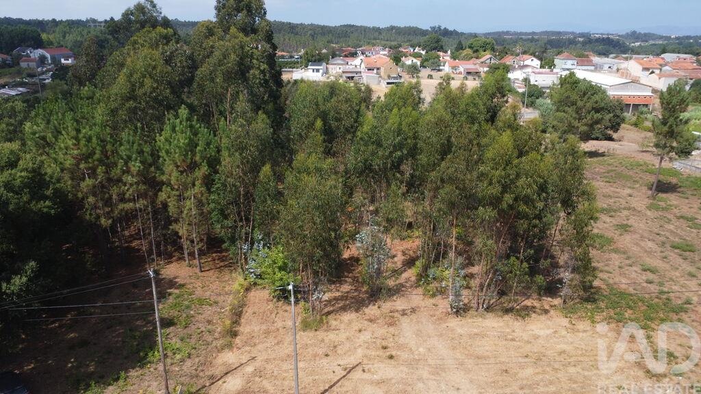 Land in Sangalhos - Image 2
