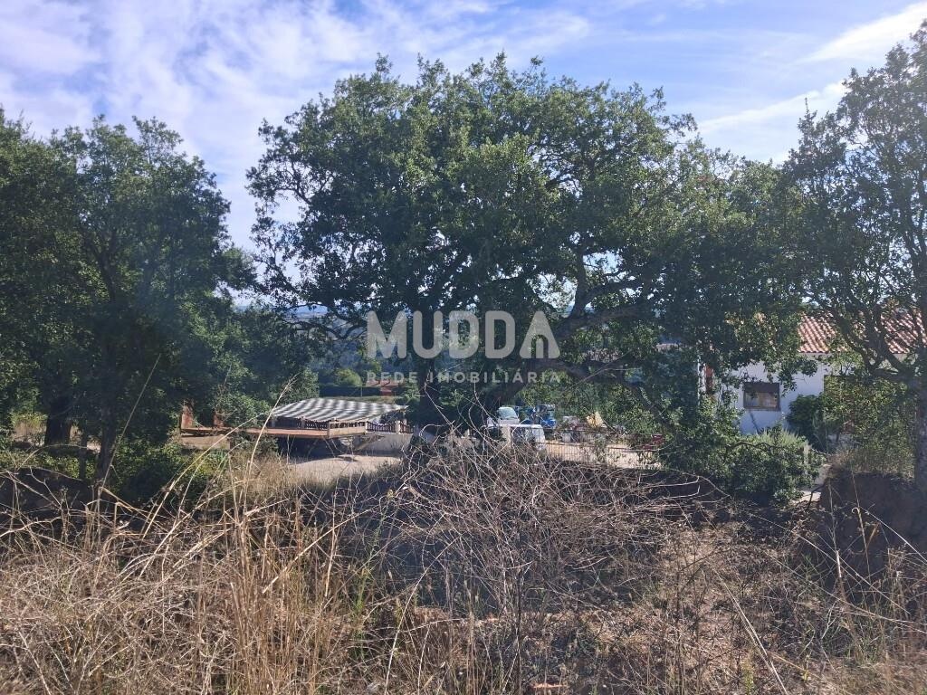 Terreno Urbano para Construção de Moradia T3 | 590 m² | A-dos-Negros, Óbidos