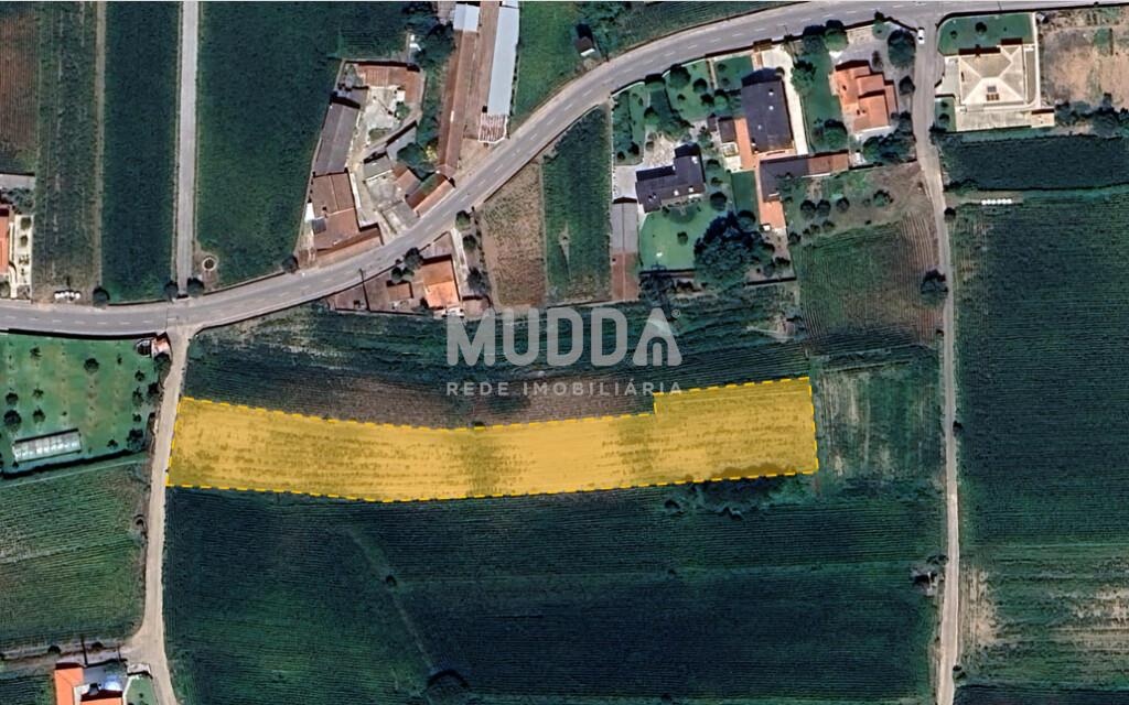 🌳 Terreno Espetacular em Avanca: Oportunidade Única!