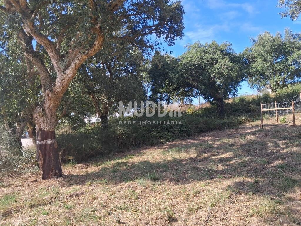 Terreno urbano para moradia T4 | A-dos-Negros – Óbidos