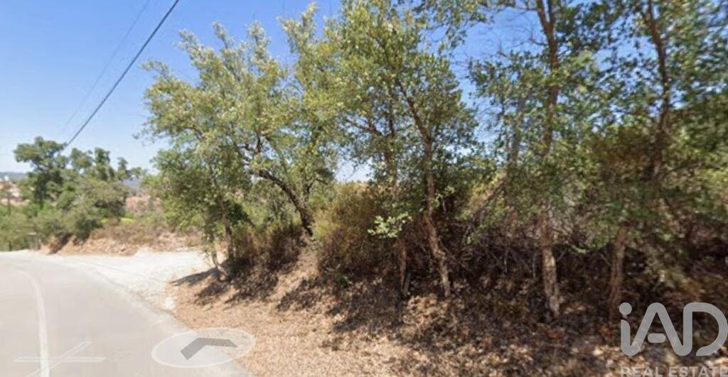 Land in Santa Catarina da Fonte do Bispo - Image 2