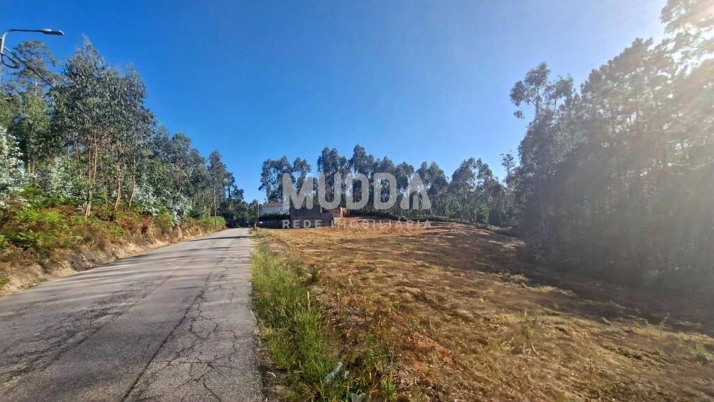 Terreno Rústico com Viabilidade de Construção em São Martinho da Gandara – Oliveira de Azeméis