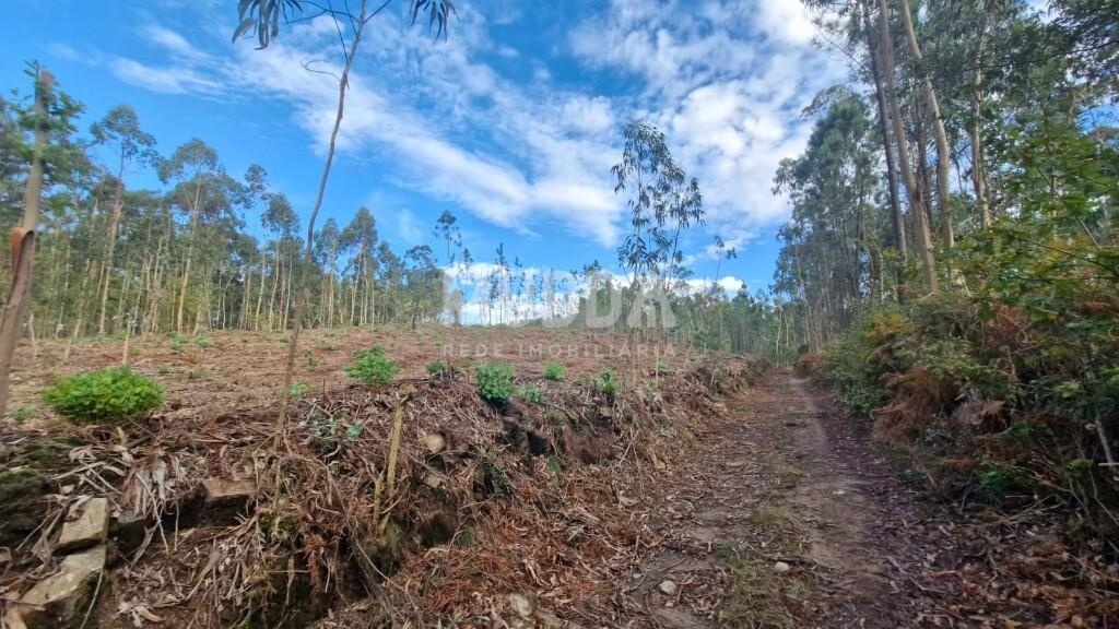 Terreno Rústico com 14.000 m² – Vale de Éguas, Romariz, Santa Maria da Feira