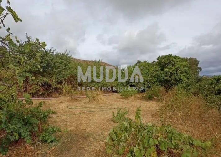 Quinta com 7000m2 e habitação T3 na cidade de Castelo Branco