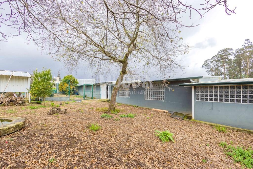 Terreno com Benfeitorias